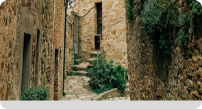 2007