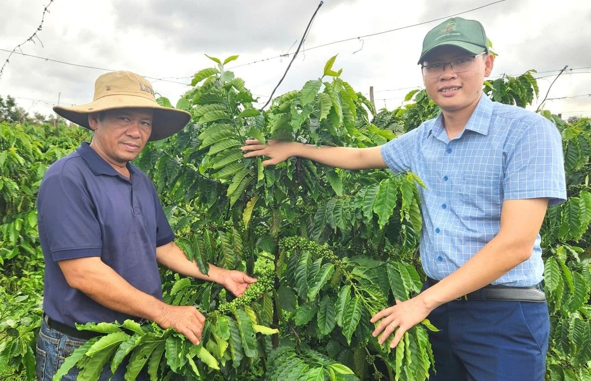 Nền tảng thuận lợi để Gia Lai lan tỏa IPHM