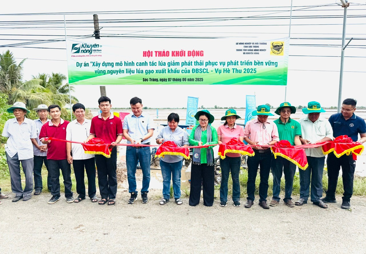Công ty CP Phân bón Bình Điền đẩy mạnh Dự án "Xây dựng mô hình canh tác lúa giảm phát thải phục vụ phát triển bền vững vùng nguyên liệu lúa gạo xuất khẩu của ĐBSCL".