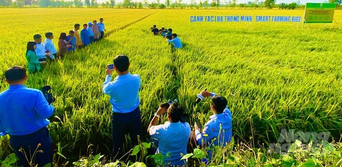 Bí thư Tỉnh ủy Hậu Giang Nghiêm Xuân Thành thăm đồng đầu xuân
