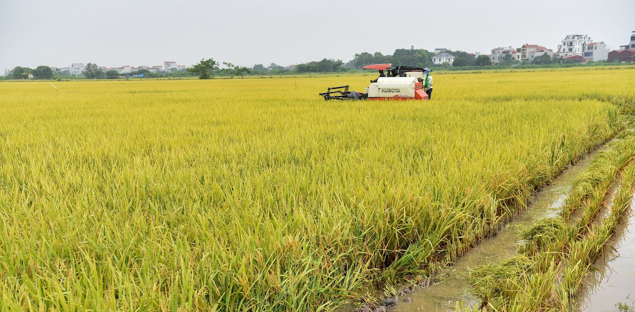 Nơi nông dân chân không lấm bùn