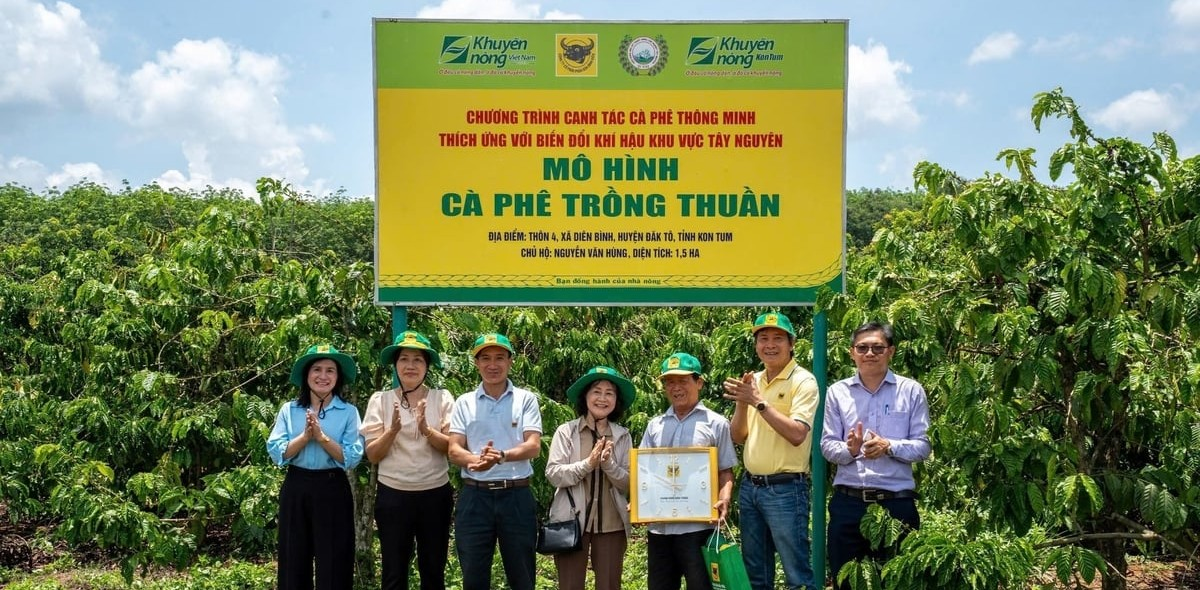 'Đầu Trâu giúp tôi làm nông nghiệp có lời, sức khỏe đất lại được tăng cường'