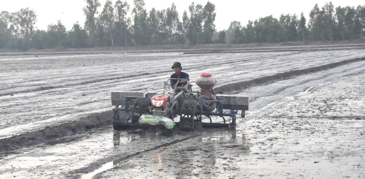 An Giang xây dựng khung lịch thời vụ sản xuất các vụ lúa trong năm