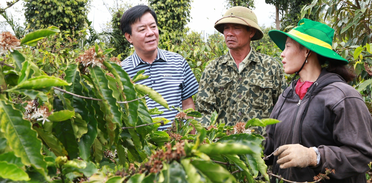 Bình Điền – Hành trình hơn nửa thế kỷ phụng sự nông nghiệp và tầm nhìn tiên phong xanh hóa - số hóa
