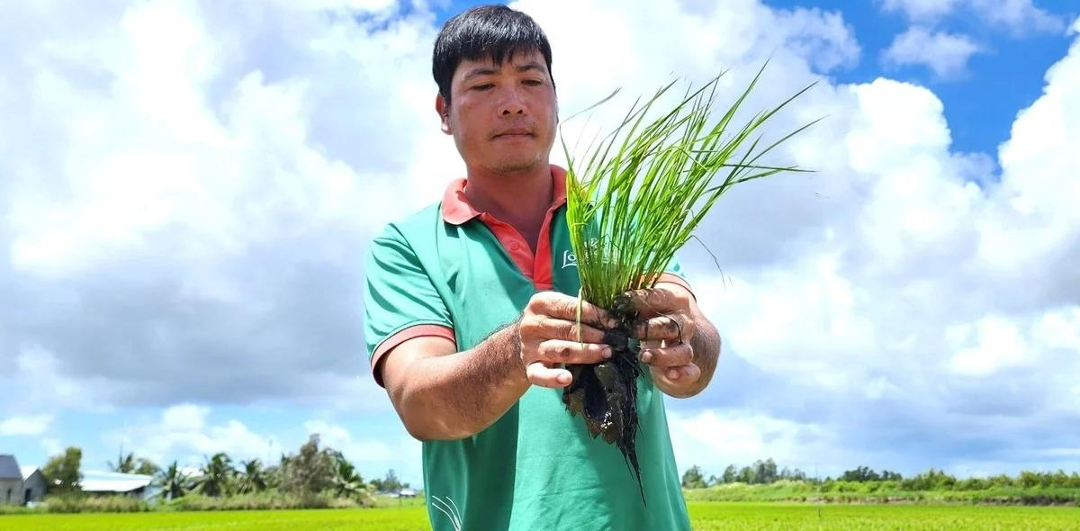 Nông nghiệp sinh thái: Cần thu hẹp khoảng cách giữa chính sách và thực tiễn
