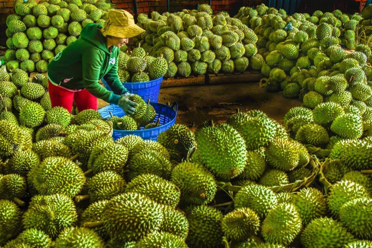 Đồng hành cùng nông dân xây dựng đất khỏe – Bình Điền thúc đẩy hành trình nông nghiệp xanh