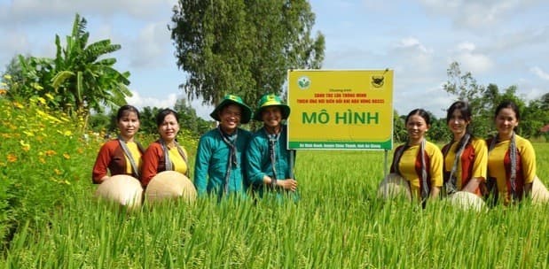 Đề án 1 triệu ha lúa chất lượng cao: Mục tiêu bán tín chỉ carbon 2.500 tỷ đồng/năm