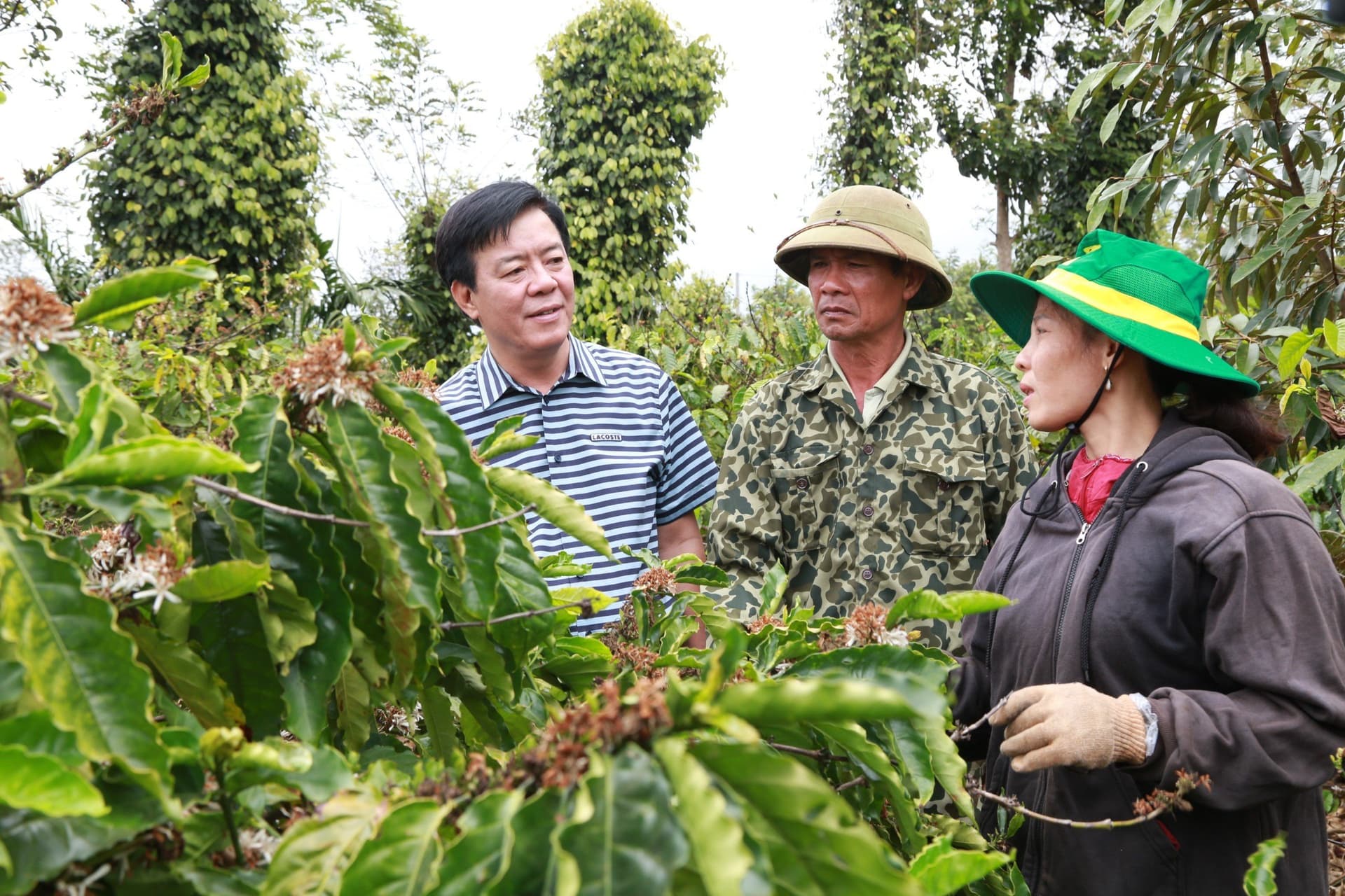 Ông Ngô Văn Đông - Tổng Giám đốc Công ty CP phân bón Bình Điền Bản lĩnh “thuyền trưởng” và thương hiệu của niềm tin