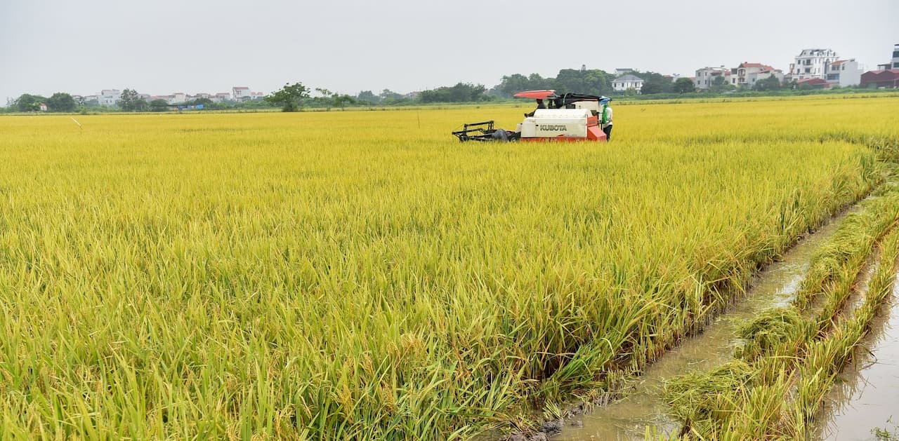 Nơi nông dân chân không lấm bùn