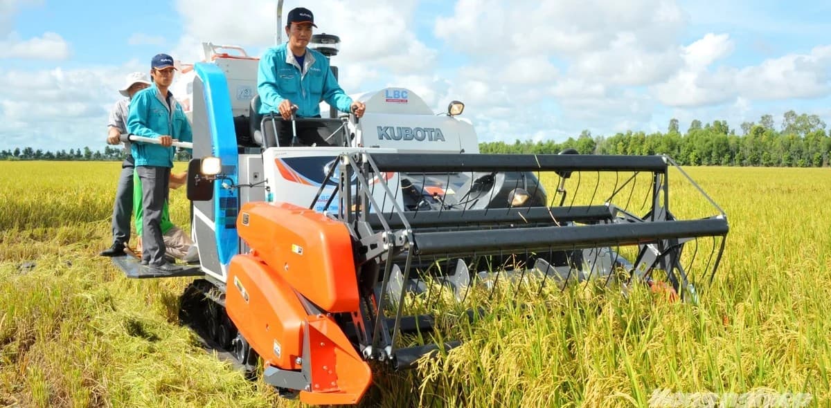 Liên kết chuỗi - đòn bẩy cho Đề án 1 triệu ha lúa chất lượng cao