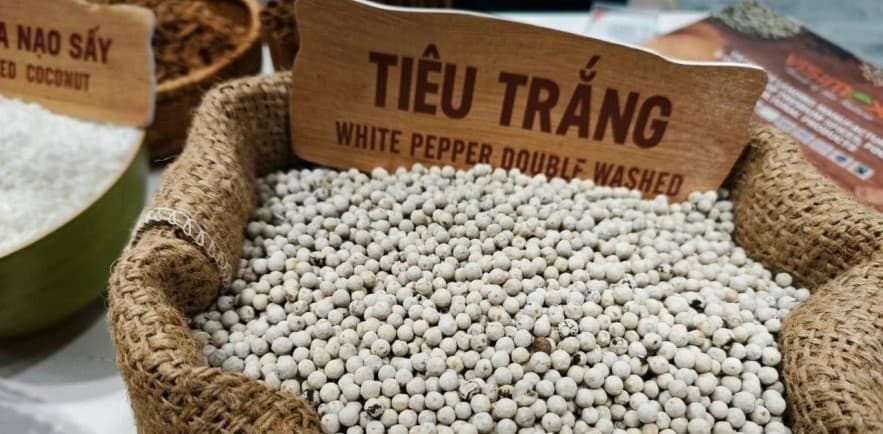 Ngày 9/4: Giá tiêu điều chỉnh tăng, cà phê lao dốc