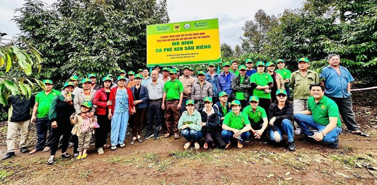 Cà phê Việt Nam trước biến đổi khí hậu: Thách thức và giải pháp thích ứng