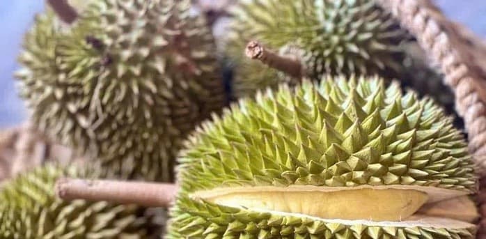 Thông tin mới nhất về điều kiện xuất khẩu sầu riêng tươi