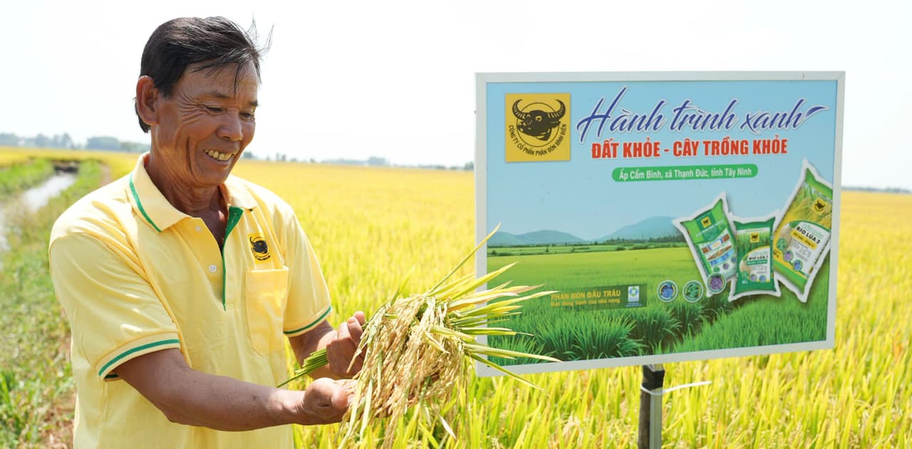 NIỀM VUI TRÚNG MÙA TỪ HÀNH TRÌNH XANH: BÍ QUYẾT "ĐẤT KHỎE - CÂY TRỒNG KHỎE" ĐỂ TIẾT KIỆM CHI PHÍ CANH TÁC