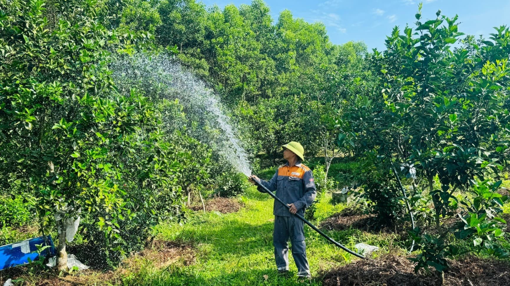 Tẻ Nương Hà Giang 'hiên ngang' ở Đất Cảng