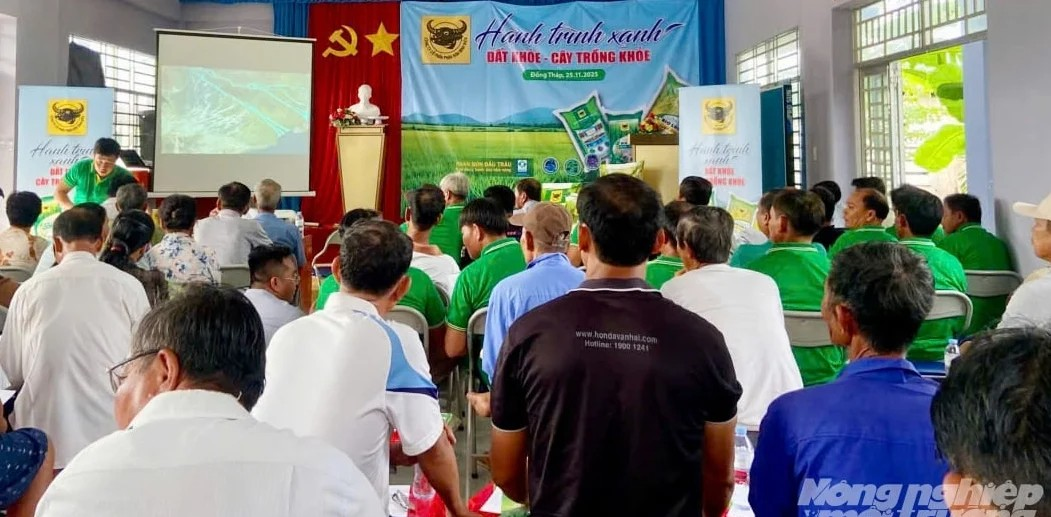 Nâng sức khỏe đất: Khỏe cây trồng, vững vàng vụ đông xuân