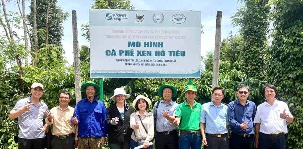 Hiệu quả từ canh tác cà phê thông minh: Những con số biết nói