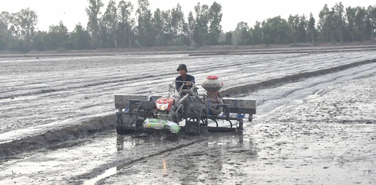 An Giang xây dựng khung lịch thời vụ sản xuất các vụ lúa trong năm